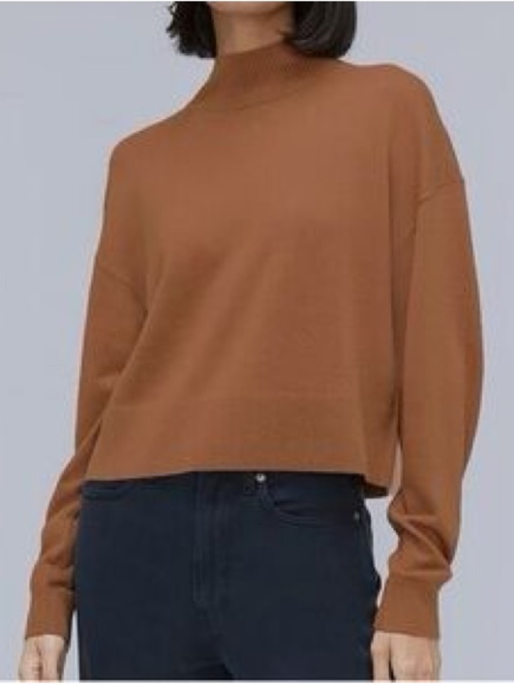 Everlane luxe merino wool blend mock neck sweater in camel XS